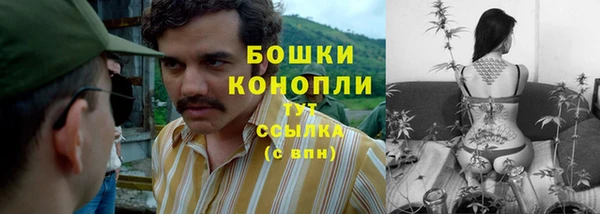 сатива Инта