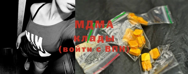 сатива Инта