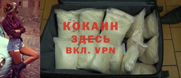 сатива Инта