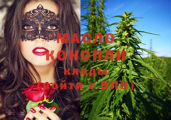 сатива Инта