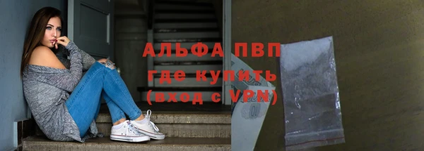 сатива Инта