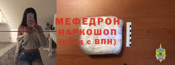 сатива Инта