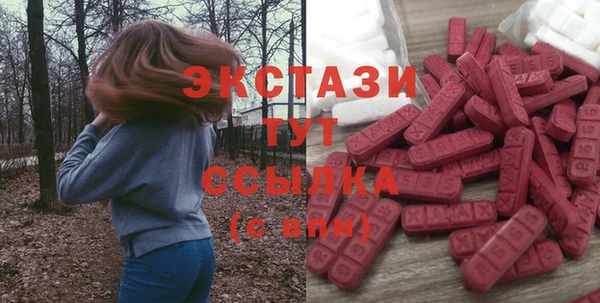 сатива Инта
