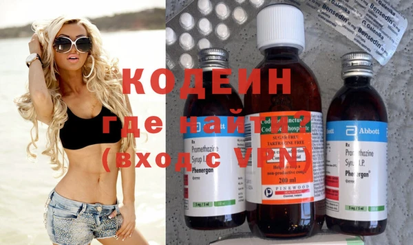 сатива Инта