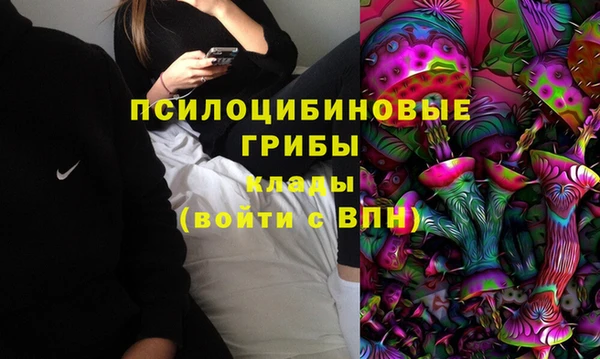 сатива Инта