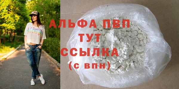 сатива Инта