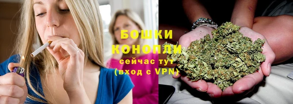 метадон Инсар
