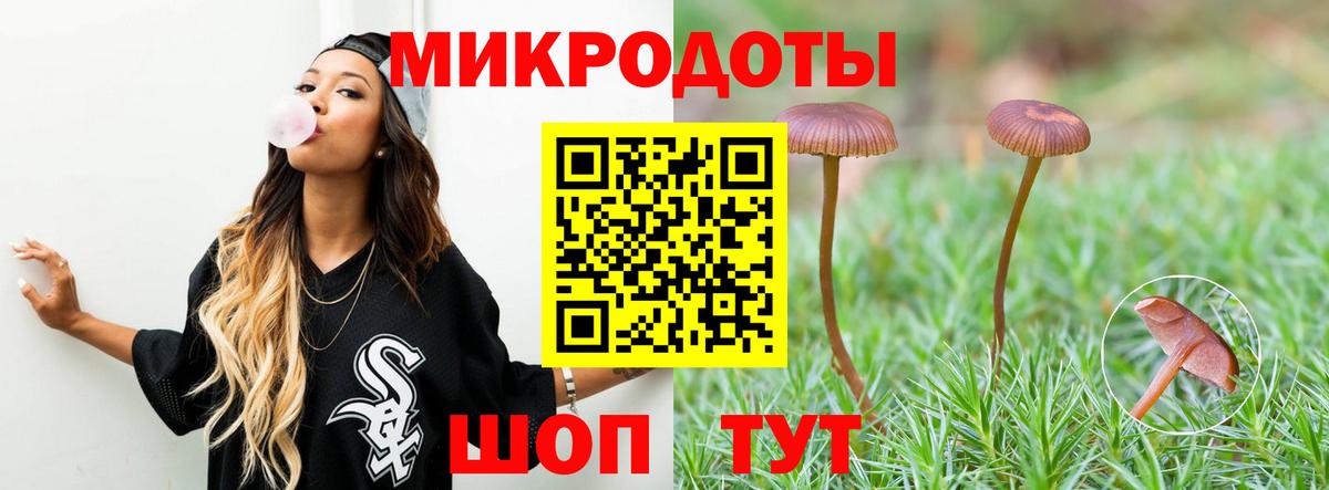 Галлюциногенные грибы прущие грибы Каменка