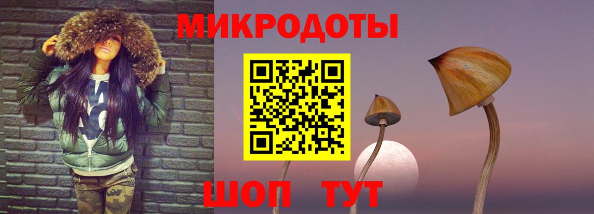 где купить   Галлюциногенные грибы Psilocybine cubensis  Галлюциногенные грибы прущие грибы  Вход с VPN  Каменка 